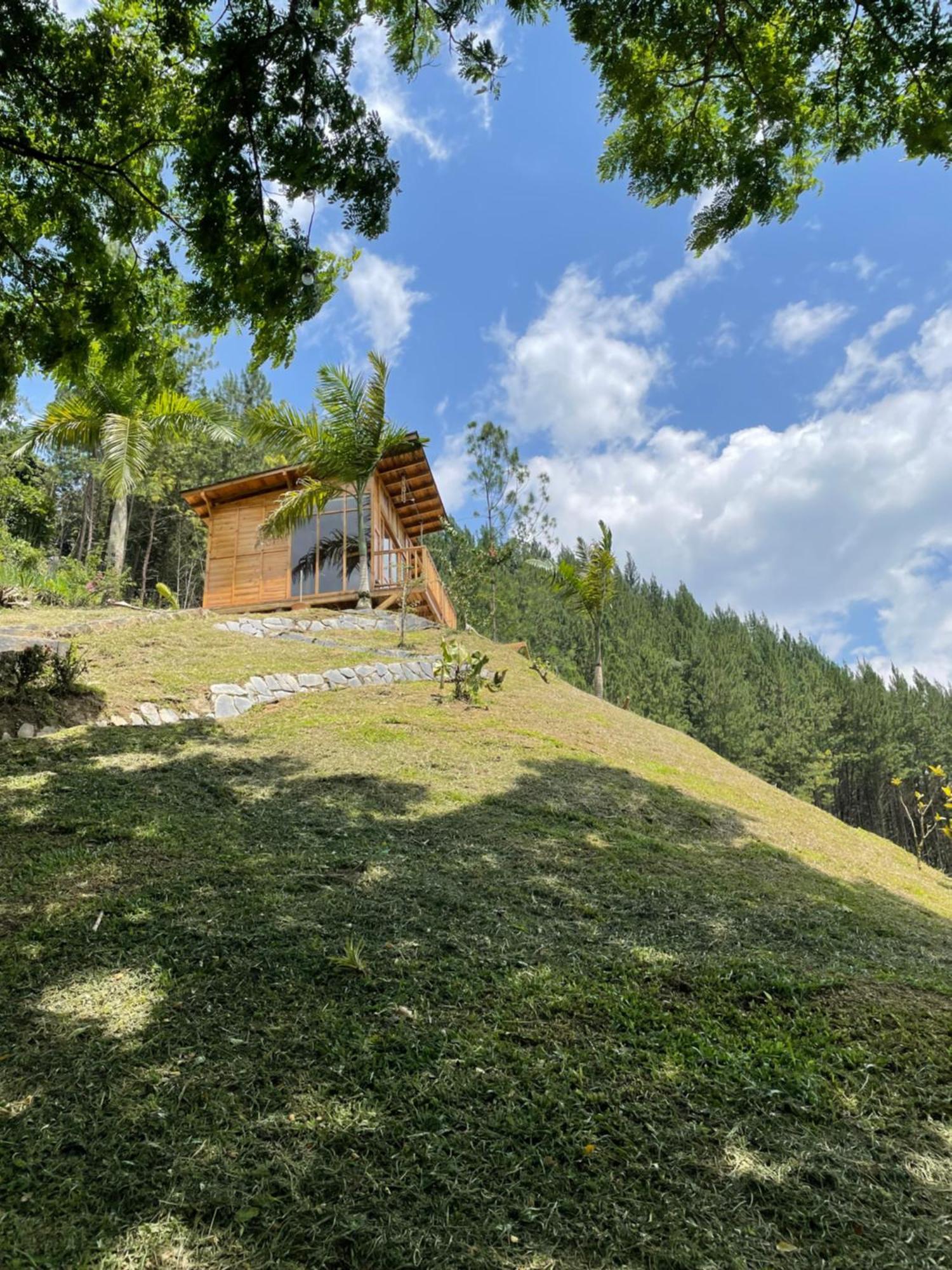 Home Boutique Natural Paradise La Vega  Εξωτερικό φωτογραφία