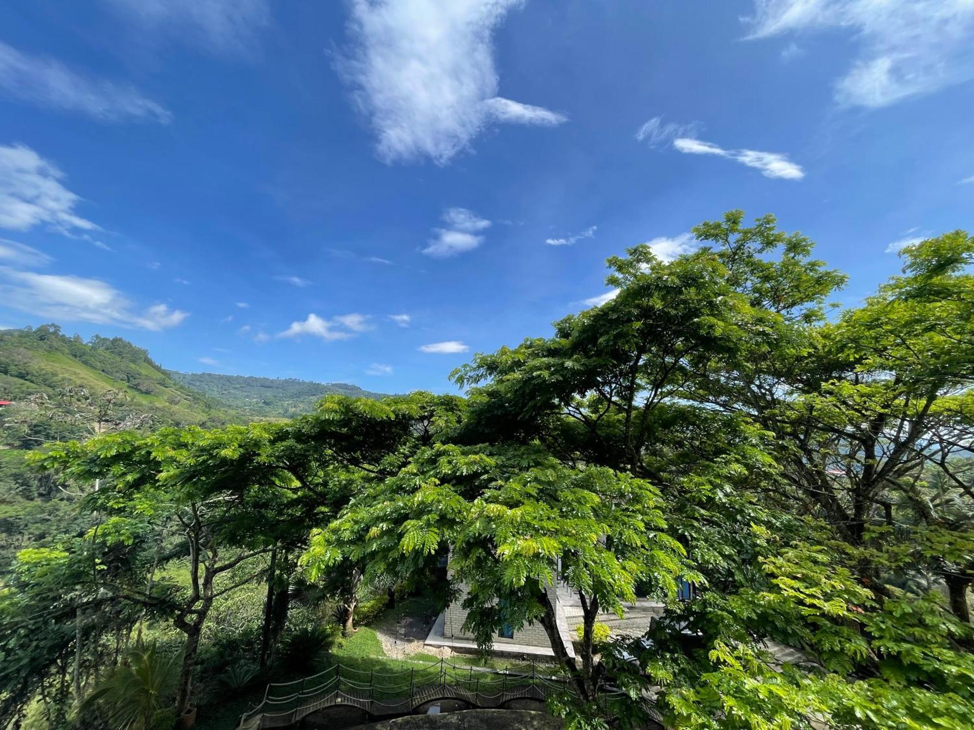 Home Boutique Natural Paradise La Vega  Εξωτερικό φωτογραφία